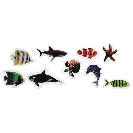 Real Photo Sea Life Foam Stickers 250 pc - Image 2