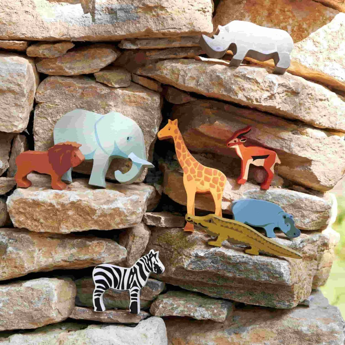 Safari Collection - Image 3
