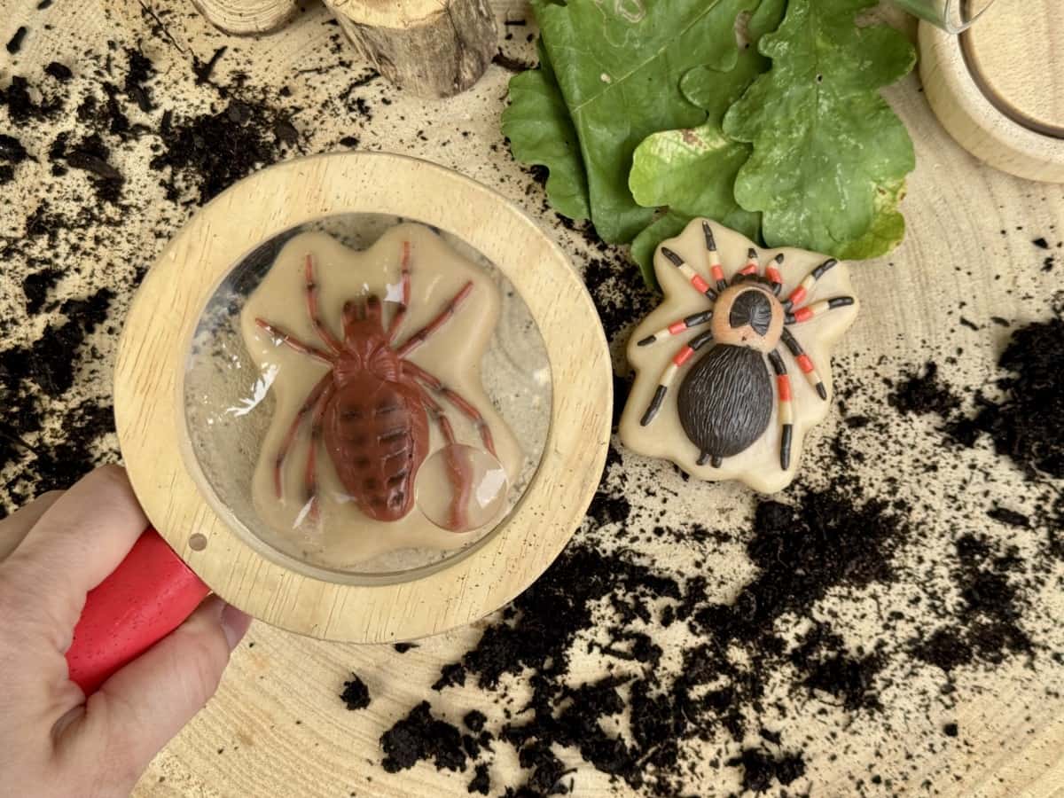 Sensory Play Stones Bugs - Image 2