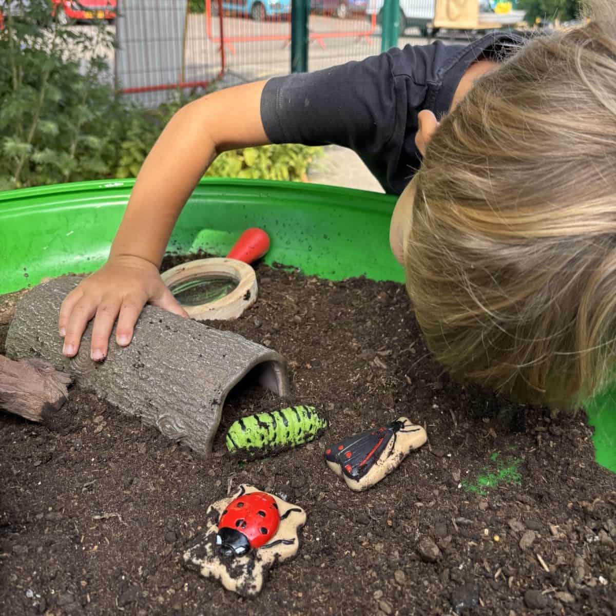 Sensory Play Stones Bugs - Image 3