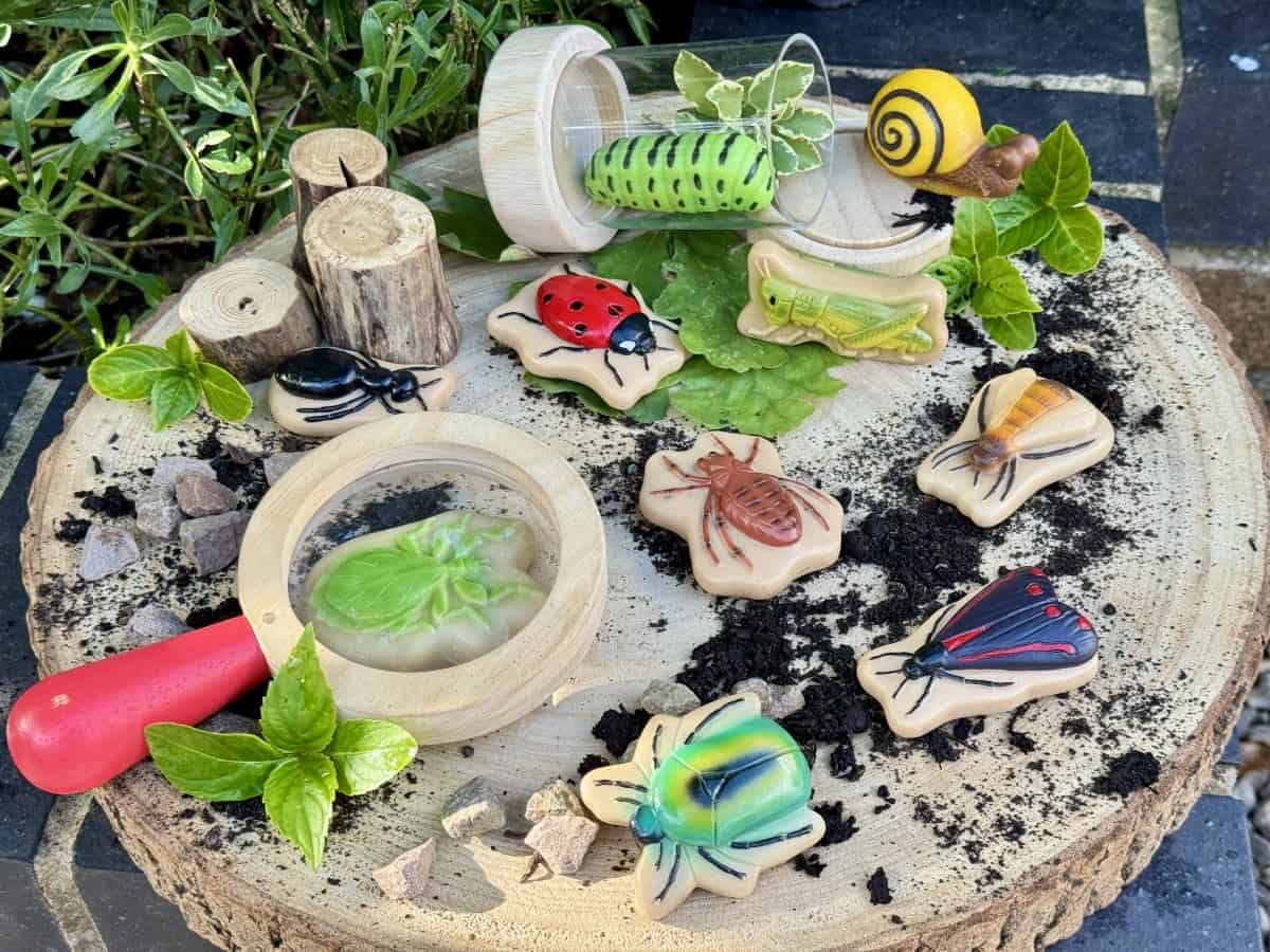 Sensory Play Stones Bugs - Image 4