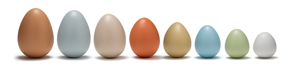 Size-Sorting Eggs Set of 8 - Image 6