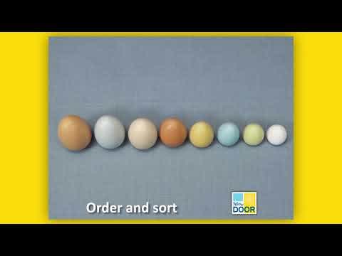 Size-Sorting Eggs Set of 8 - Image 7