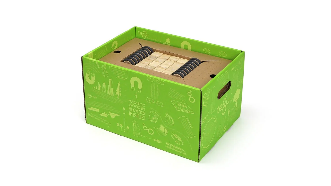Tegu Classroom Kit - Image 2