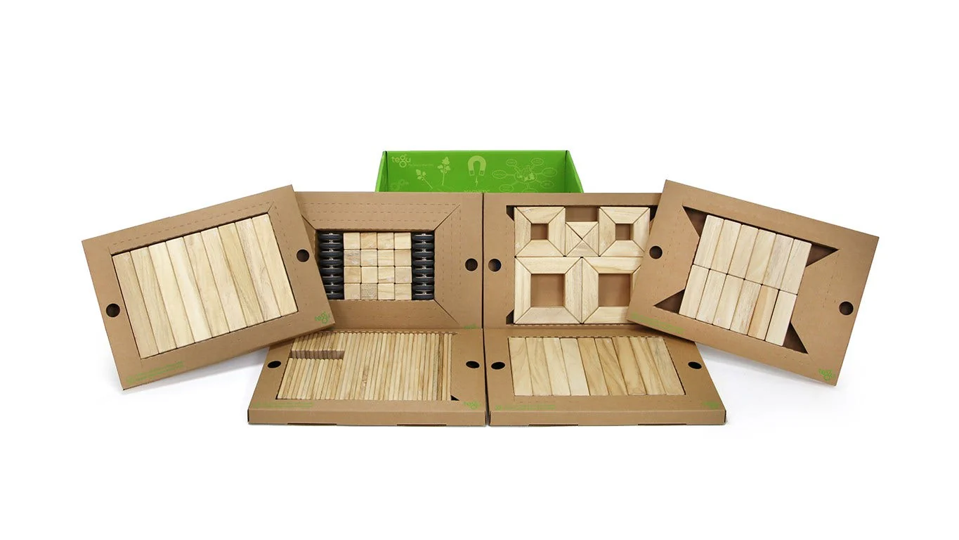 Tegu Classroom Kit - Image 3