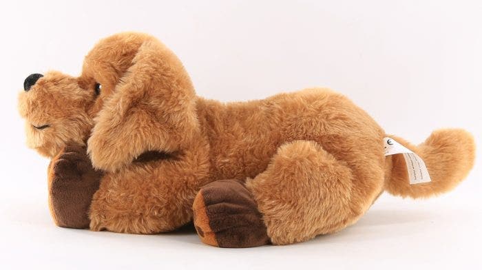 Theo the Therapy Dog - Image 5