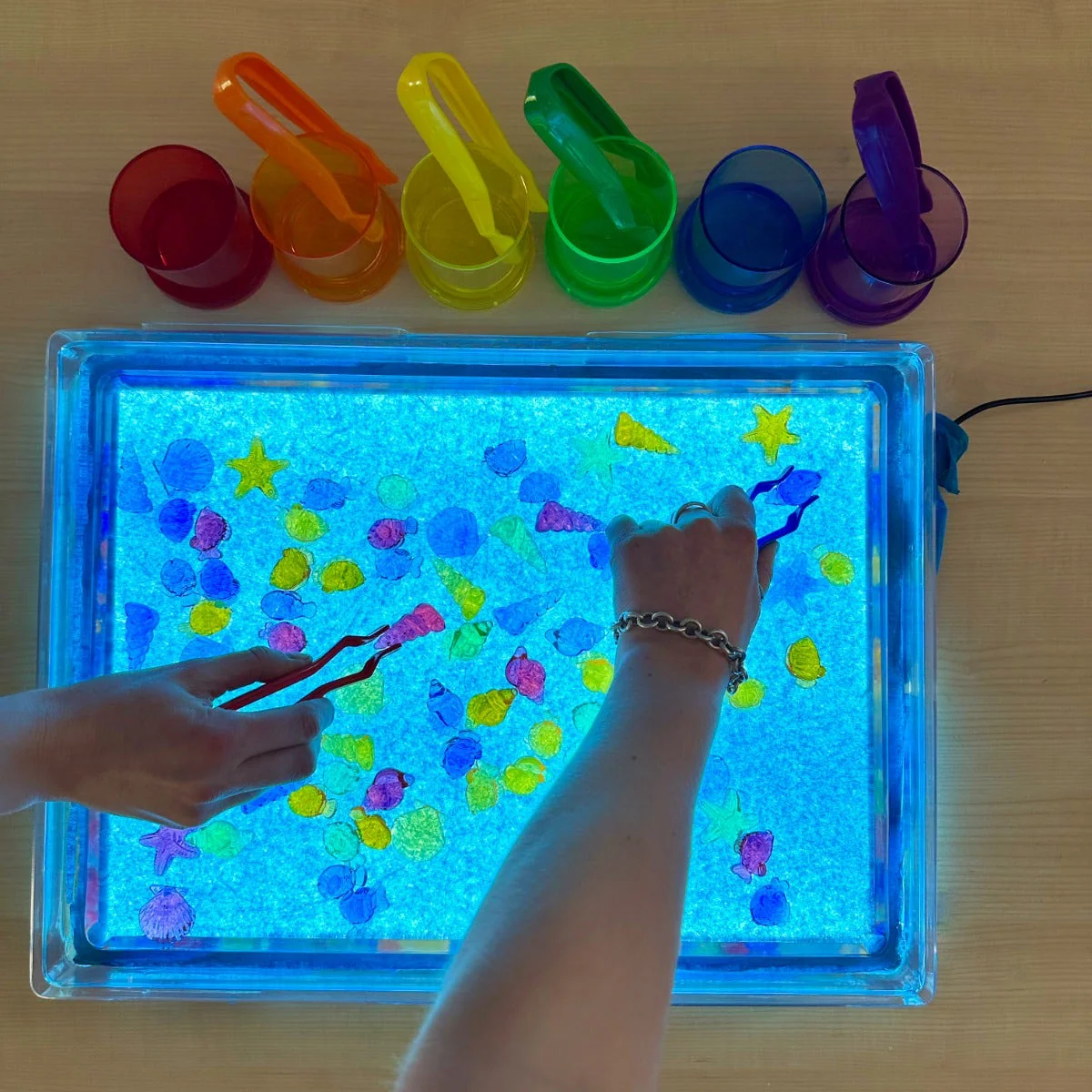 Translucent Colour Shells - Image 3