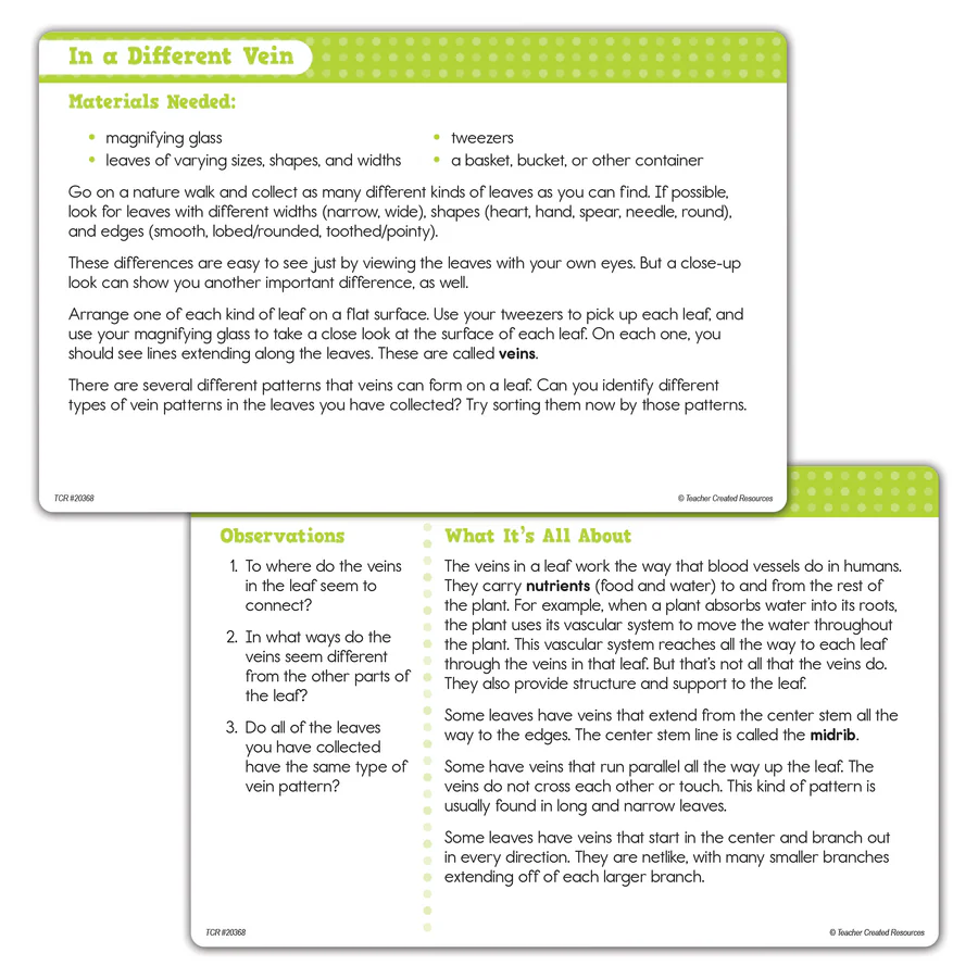 Up-Close Science Magnifying Glasses and Tweezers Activity Se - Image 3