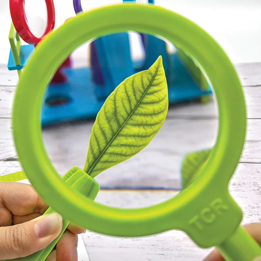 Up-Close Science Magnifying Glasses and Tweezers Activity Se - Image 6