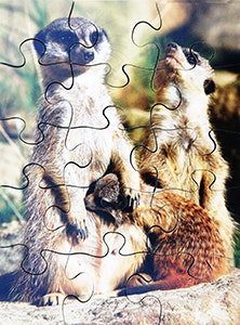 Wild Animals Set of 8 Wooden Puzzles - Image 3