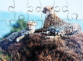Wild Animals Set of 8 Wooden Puzzles - Image 4