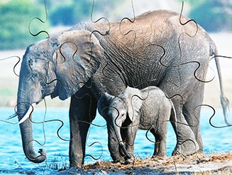 Wild Animals Set of 8 Wooden Puzzles - Image 5