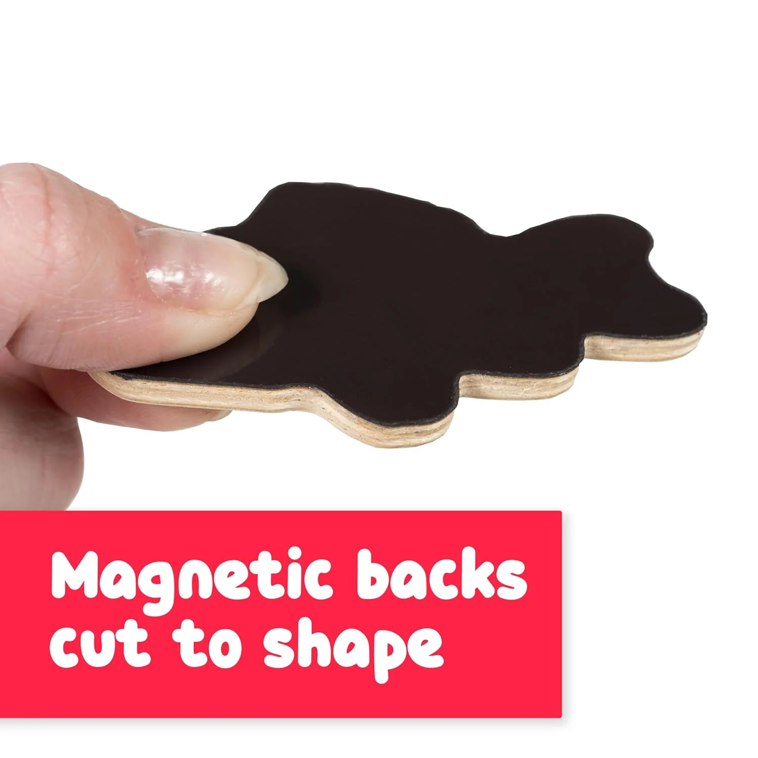 Wooden Magnets - Sea Life - Image 5