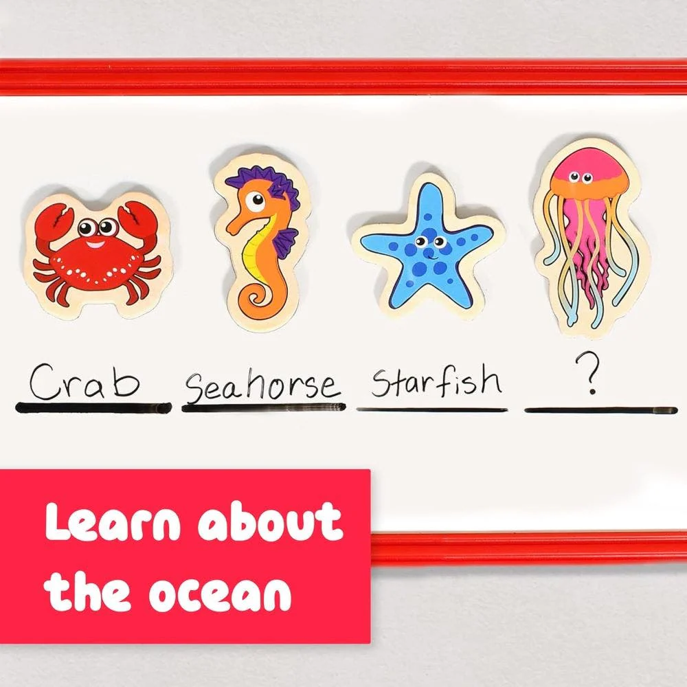 Wooden Magnets - Sea Life - Image 6