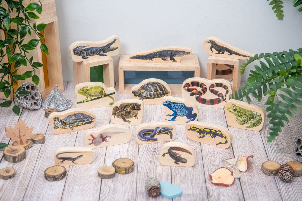 Wooden Reptile And Amphibian Blocks - Image 2