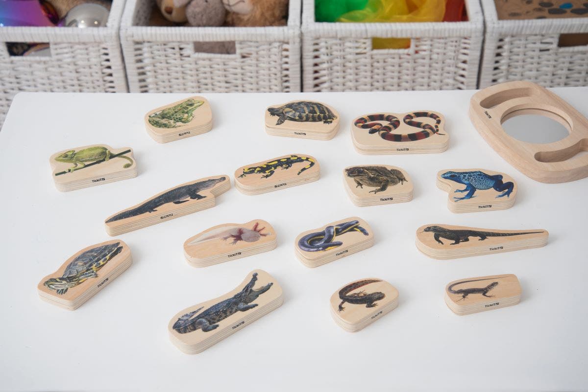Wooden Reptile And Amphibian Blocks - Image 3