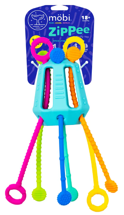 Zippee Activity Toy